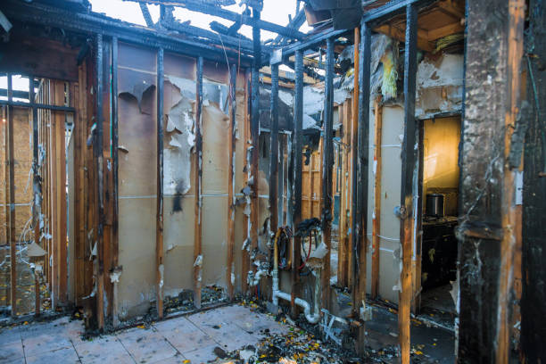 Professional Smoke Damage Removal technician working in Ashland, IL